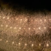 Falling up cover image