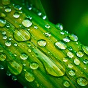 Nature and rain cover image