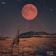 Calm at dawn cover image