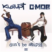 Don't be stupid cover image