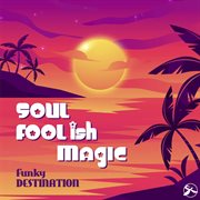 Soul foolish magic cover image