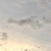 Looking for cover image