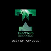 Teamwrk pop - best of 2022 cover image