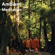 Ambient meditation cover image