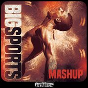 Big sports mashup cover image