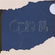 Burning book cover image