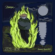 Sweet Spot cover image