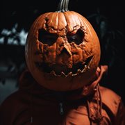 Born to the west cover image