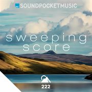 Sweeping Orchestral cover image