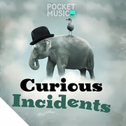 Curious Incidents cover image