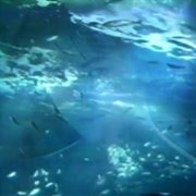 水面に太陽光線
