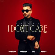 I Doǹt Care cover image