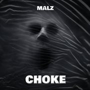 Choke cover image