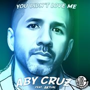 You Didn't Love Me cover image