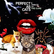 Perfect As Cats: The Songs of The Cure : The Songs of The Cure cover image