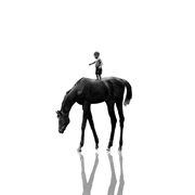 High Horse cover image