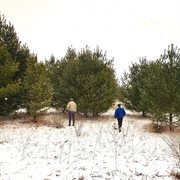 Haymaker cover image