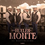 Corridos y Canciones Que Huelen a Monte, Vol.3 cover image