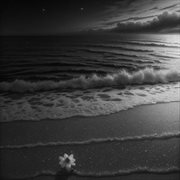 Lonely bloom cover image