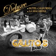 Gallitos Band cover image