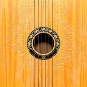 Acoustic cover image