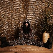 Hiding in Plain Sight cover image