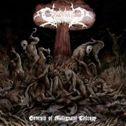 Genesis of Malignant Entropy cover image