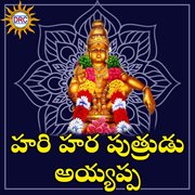 Hari hara putrudu ayyappa cover image