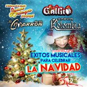 Exitos musicales para celebrar la Navidad cover image