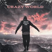 CRAZY WORLD cover image