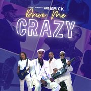 Drive Me Crazy cover image