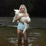 PALPITATIONS cover image