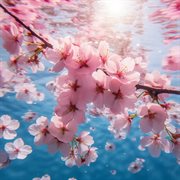 Sakura Sakuna cover image