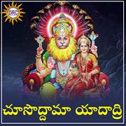 Chusodhama Yadadri cover image