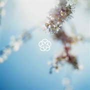 New World cover image