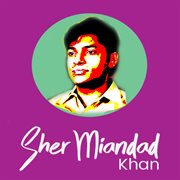 Sher Miandad Khan Qawwal cover image