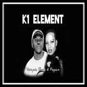 K1 Element cover image