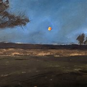 Moon Dancer cover image