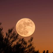 Moonrise Meditation, Calm Ambient Music cover image