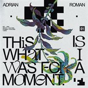 This Is What I Was For A Moment cover image