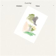 Hidden View cover image