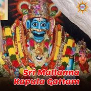 Sri Mallanna Kapula Gattam cover image