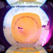 Stray Observations,Vol.3 cover image