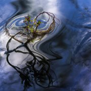 Without Further A Dude cover image