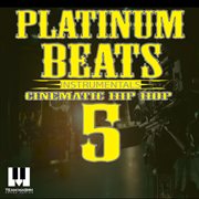 Platinum Beats 5 cover image