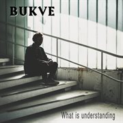 What is understanding cover image