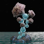 Amanecer cover image