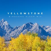 Yellowstone Birdsong cover image