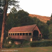 American Song Book cover image