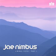 Liminal Vista cover image